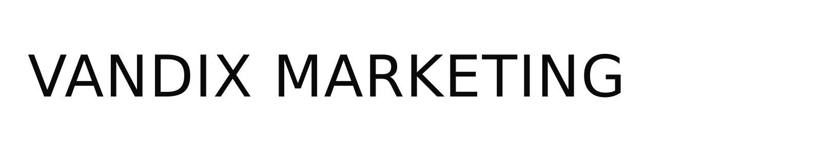 VANDIX MARKETING LLC