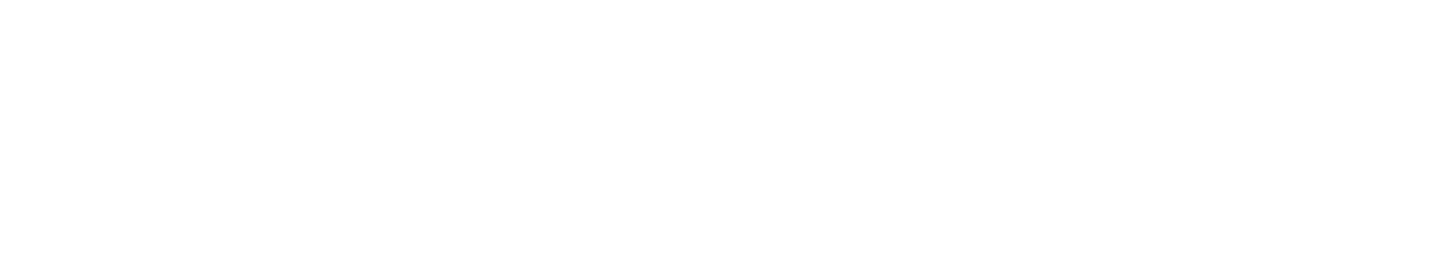VANDIX MARKETING